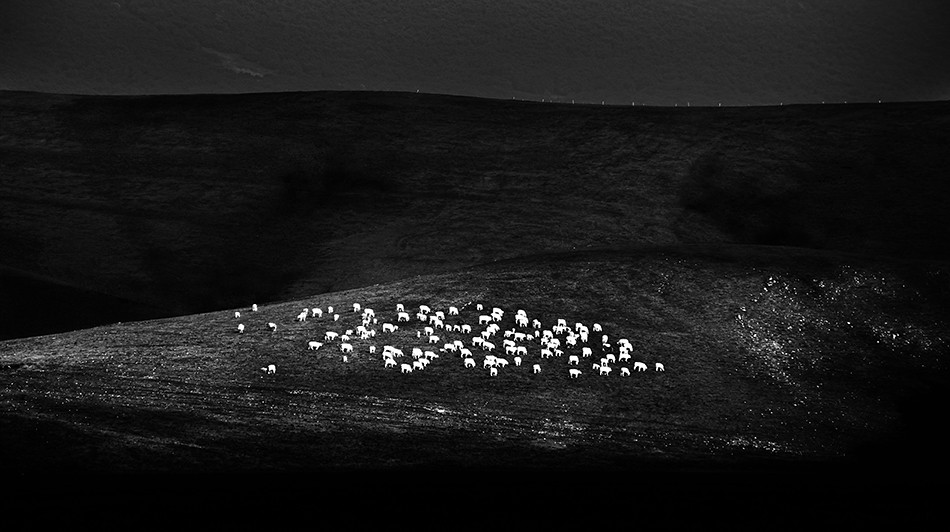 La notte in cui tutte le vacche sono nere
